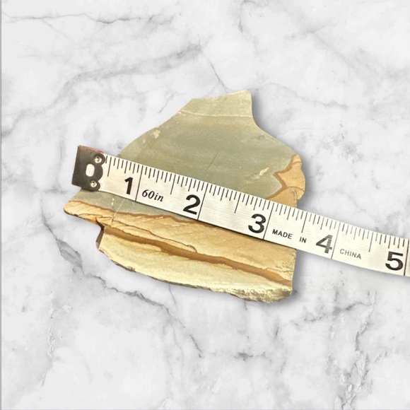 Cripple creek Oregon unpolished picture jasper slab raw edge 3.5 inch - Picture 4 of 6
